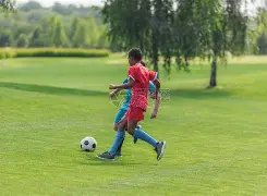 瓜迪奥拉点,赞哈兰德世,界杯资格,金年会,金年会官网,中国金年会,金年会入口