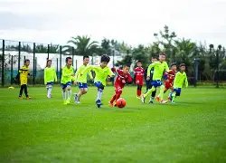 激战澳超焦,点对决,惠灵顿凤凰,金年会,金年会官网,中国金年会,金年会入口