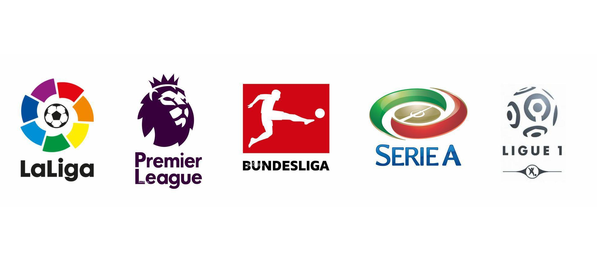 利奠定坚实 利奠定坚实